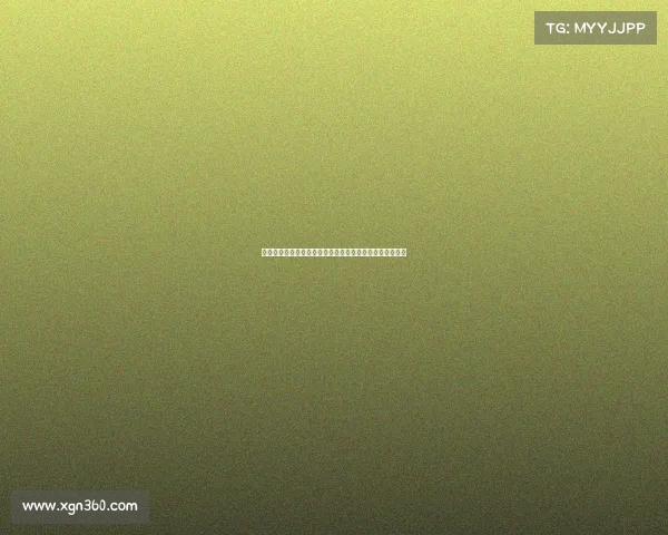 法尔克：金玟哉希望通过剩余季前赛评估自己能否获得重用